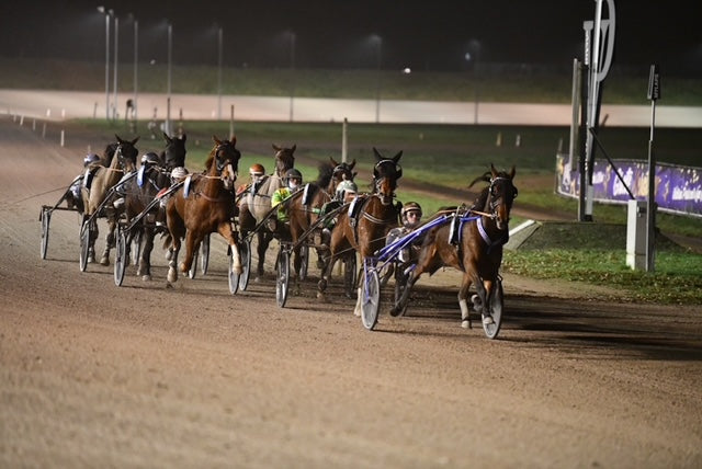 Welk draftuig past bij jouw paard? De complete gids voor comfort, veiligheid en prestaties