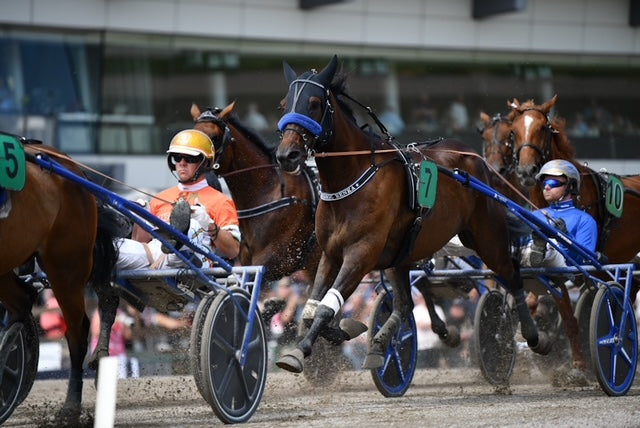 Hoe kies je de juiste sulky? De complete koopgids voor de drafsport