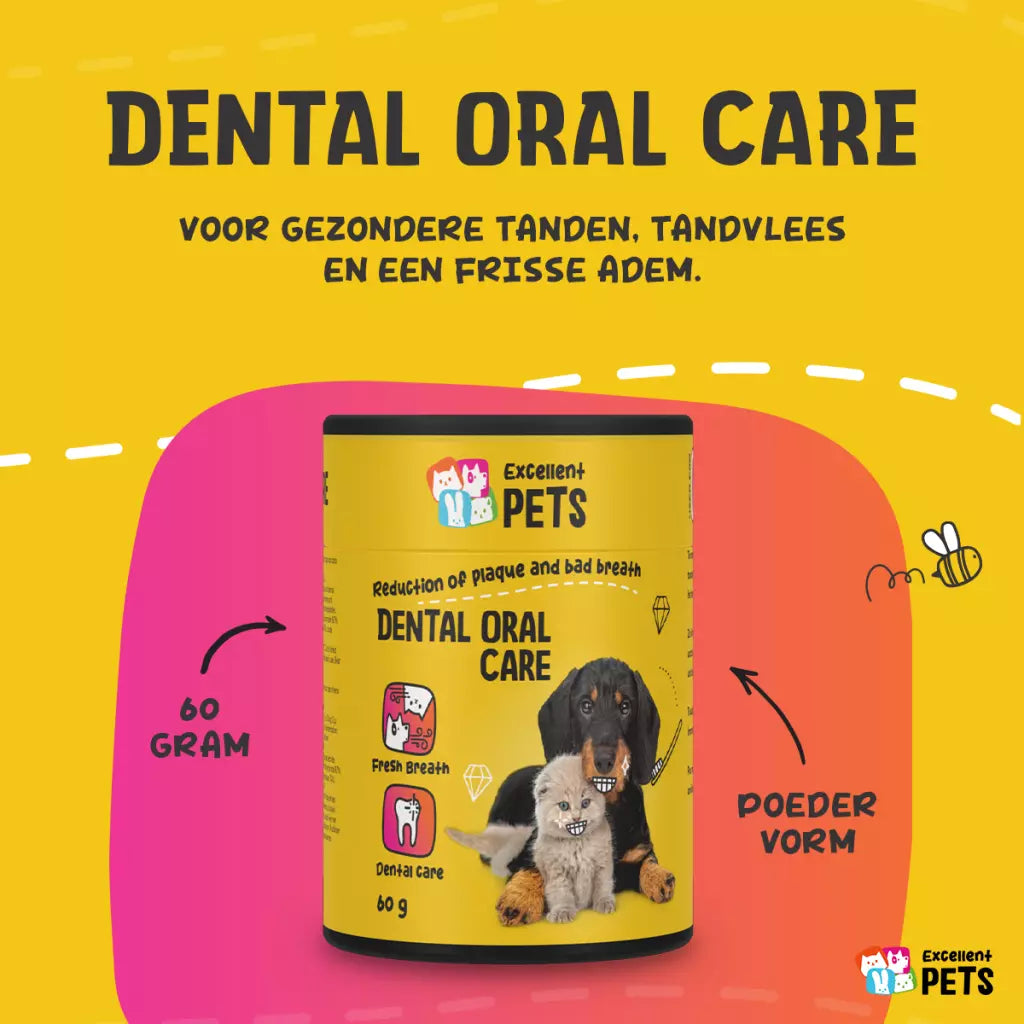 Dental Care