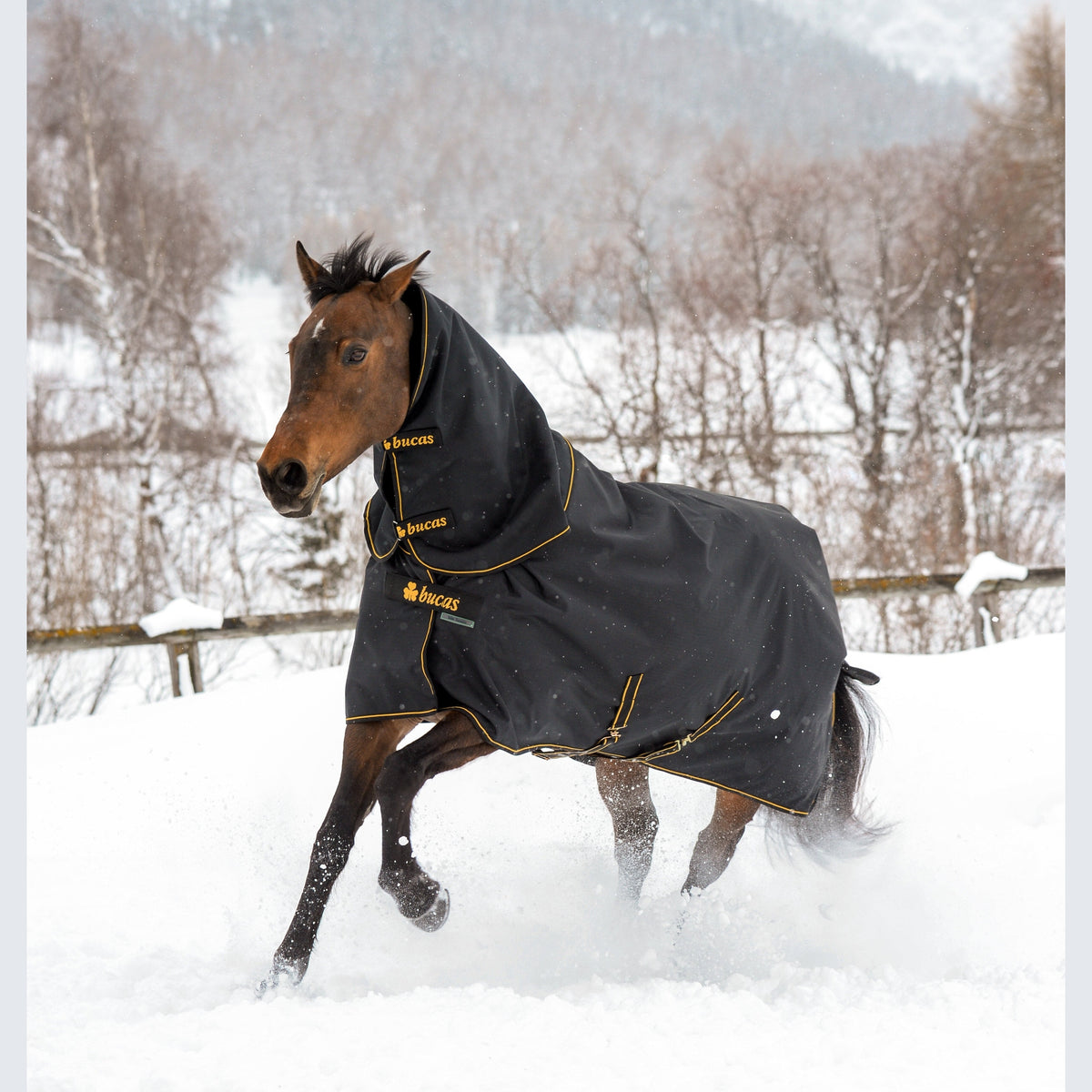 Irish Turnout met neck